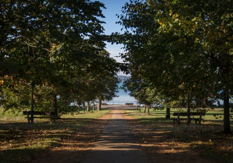 Royal Victoria Country Park