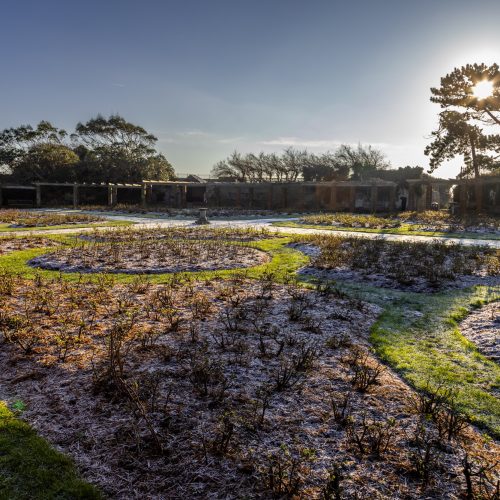 Frost covers the ground at The Rose Gardens in Southsea