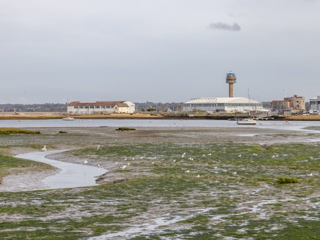 New Forest Photo Walks